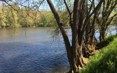 Launch of Virginia Network Advances the Rights of Nature and Communities