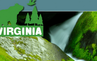 Podcast: PROTECTING THE RIGHTS OF NATURE: A SHIFT IN ENVIRONMENTAL ACTIVISM