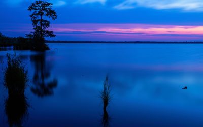 Press Conference: Prove it First Bill