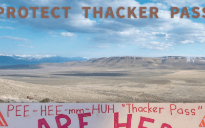 Webinar with Will Falk: Protect Thacker Pass