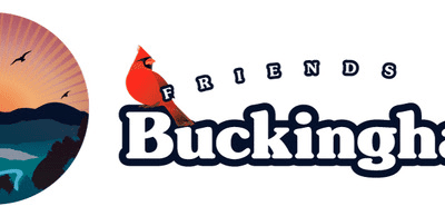 Metallic Mining and Freedom from Toxic Trespass