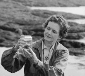 Rediscovering Rachel Carson: The Oceans, the Climate Crisis, and the “Poet of the Sea”